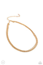 Load image into Gallery viewer, Paparazzi Jewelry Necklace Industrial Independence