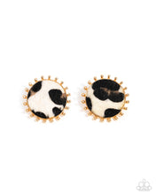 Load image into Gallery viewer, Paparazzi Jewelry Earrings Cowhide Couture