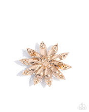 Load image into Gallery viewer, Paparazzi Lil Divas Timeless Tribute