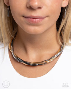 Paparazzi Jewelry Necklace Sleek Splendor