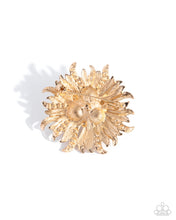 Load image into Gallery viewer, Paparazzi Lil Divas Ornate Operation