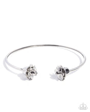 Load image into Gallery viewer, Paparazzi Jewelry Necklace Rosy Radius