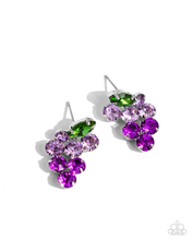Load image into Gallery viewer, Paparazzi Jewelry Earrings Grapevine Grace - Purple
