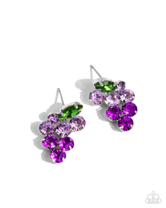 Paparazzi Jewelry Earrings Grapevine Grace - Purple