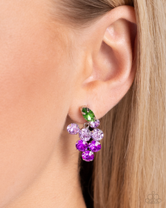 Paparazzi Jewelry Earrings Grapevine Grace - Purple
