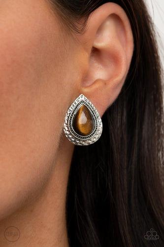 Paparazzi Jewelry Earrings Desert Glow - Brown
