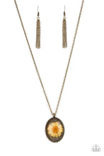 Load image into Gallery viewer, Paparazzi Jewelry Necklace Prairie Passion - Orange