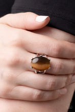 Load image into Gallery viewer, Paparazzi Jewely Ring Enchantingly Everglades - Brown