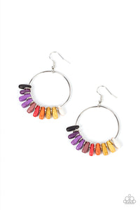 Paparazzi Jewelry Earring Earthy Ensemble - Multi
