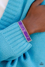 Load image into Gallery viewer, Paparazzi Jewelry Fashion Fix Sunset Sightings